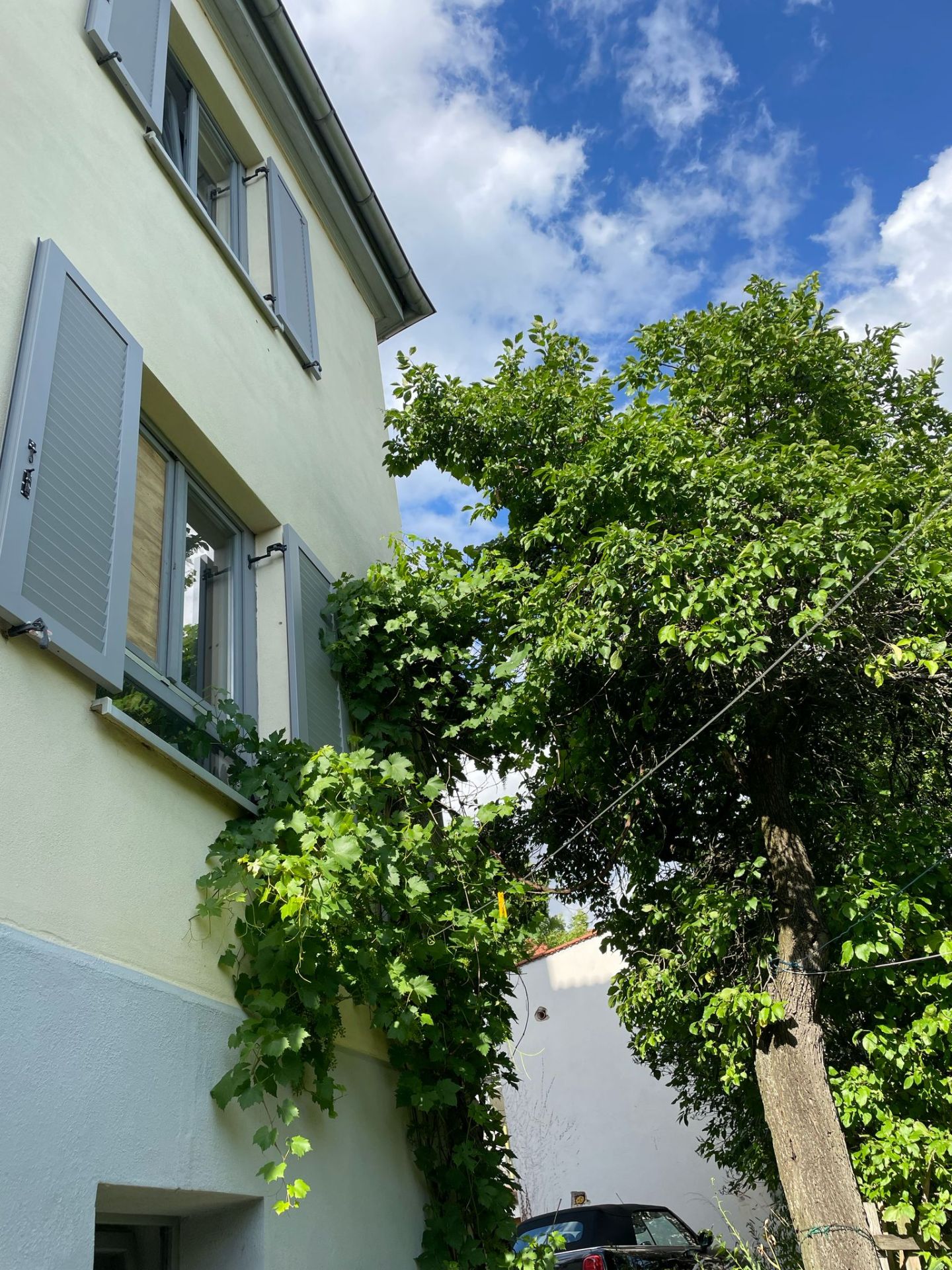 Riessnerstrasse 49 1OG, weimar Unbenannt