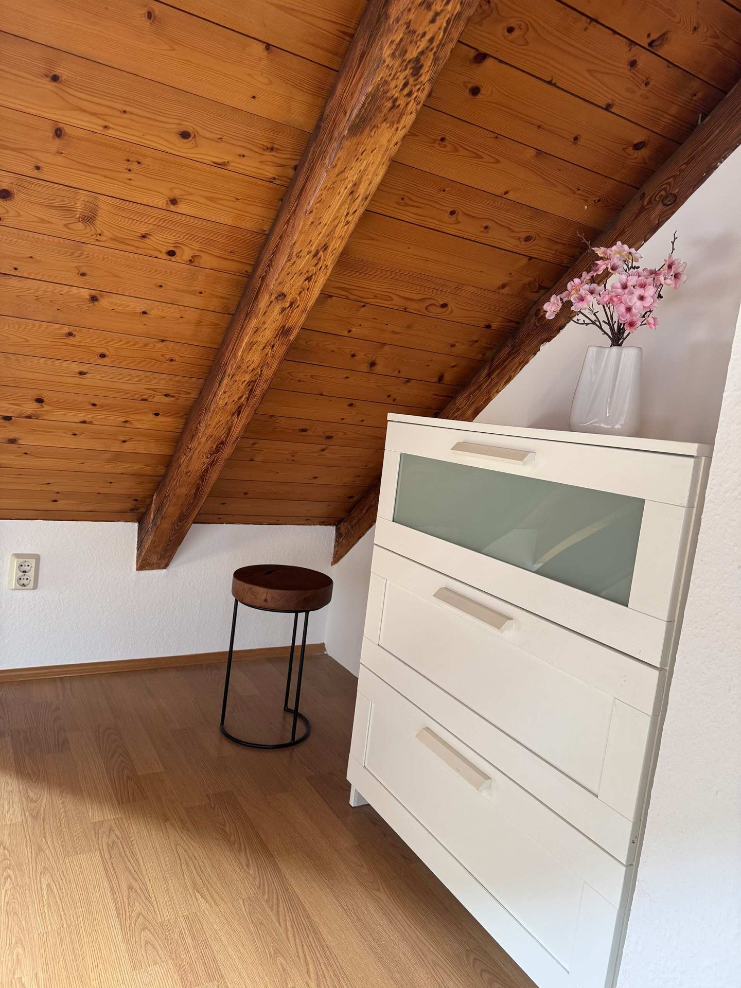 Rießnerstraße, 49, Maisonette Wohnung Weimar image00051